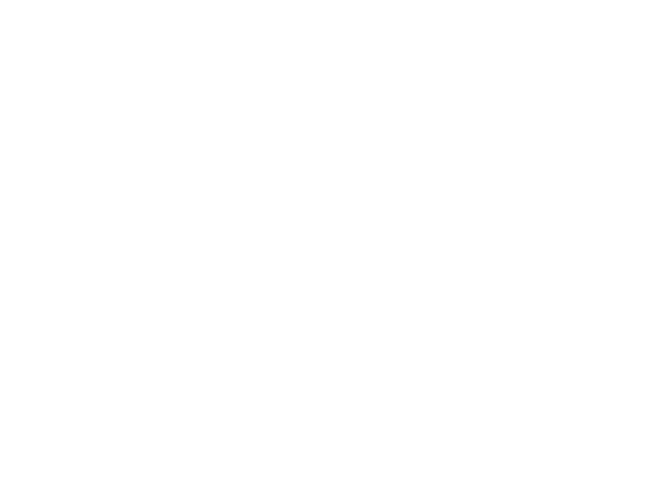 Synthopgraphy Art